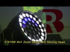 الرأس المتحرك LED 37 * 15W Rgbw 4in1 ثوب LED غسل زوم رأس متحرك